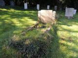 image of grave number 610552